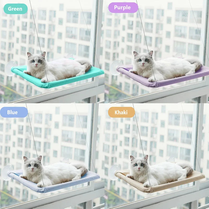 Cozy cat enjoying sun on elevated hanging bed