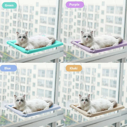 Cozy cat enjoying sun on elevated hanging bed