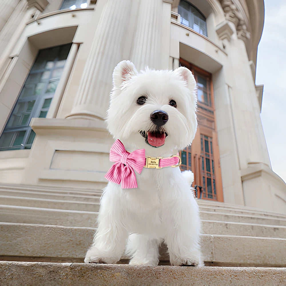 Collare per cani in velluto rosa