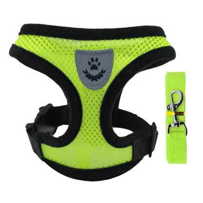 Pet Harness & Leash Set – Adjustable for Cats & Dogs