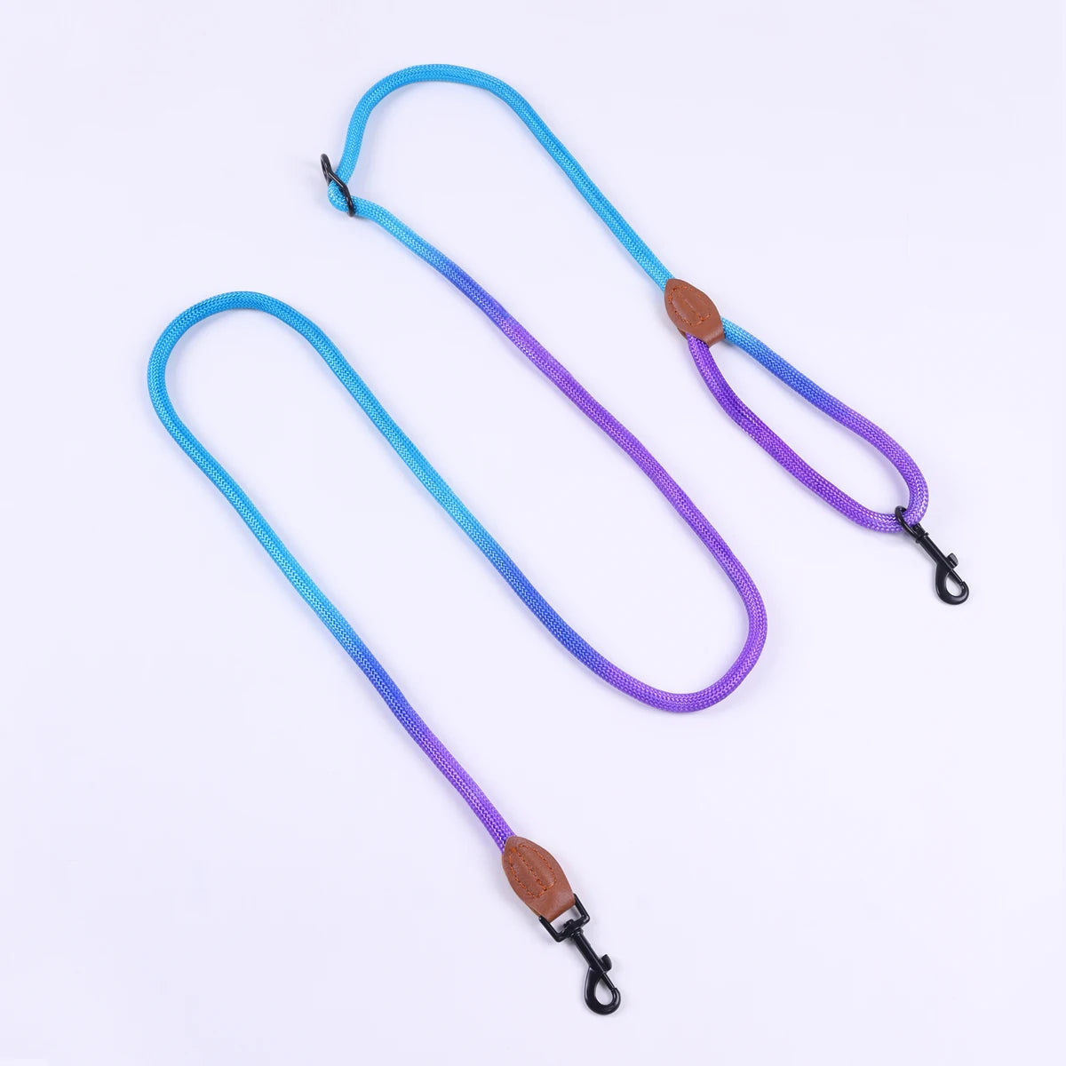 Colorful Gradient Dog Leash – Durable Nylon, Lightweight