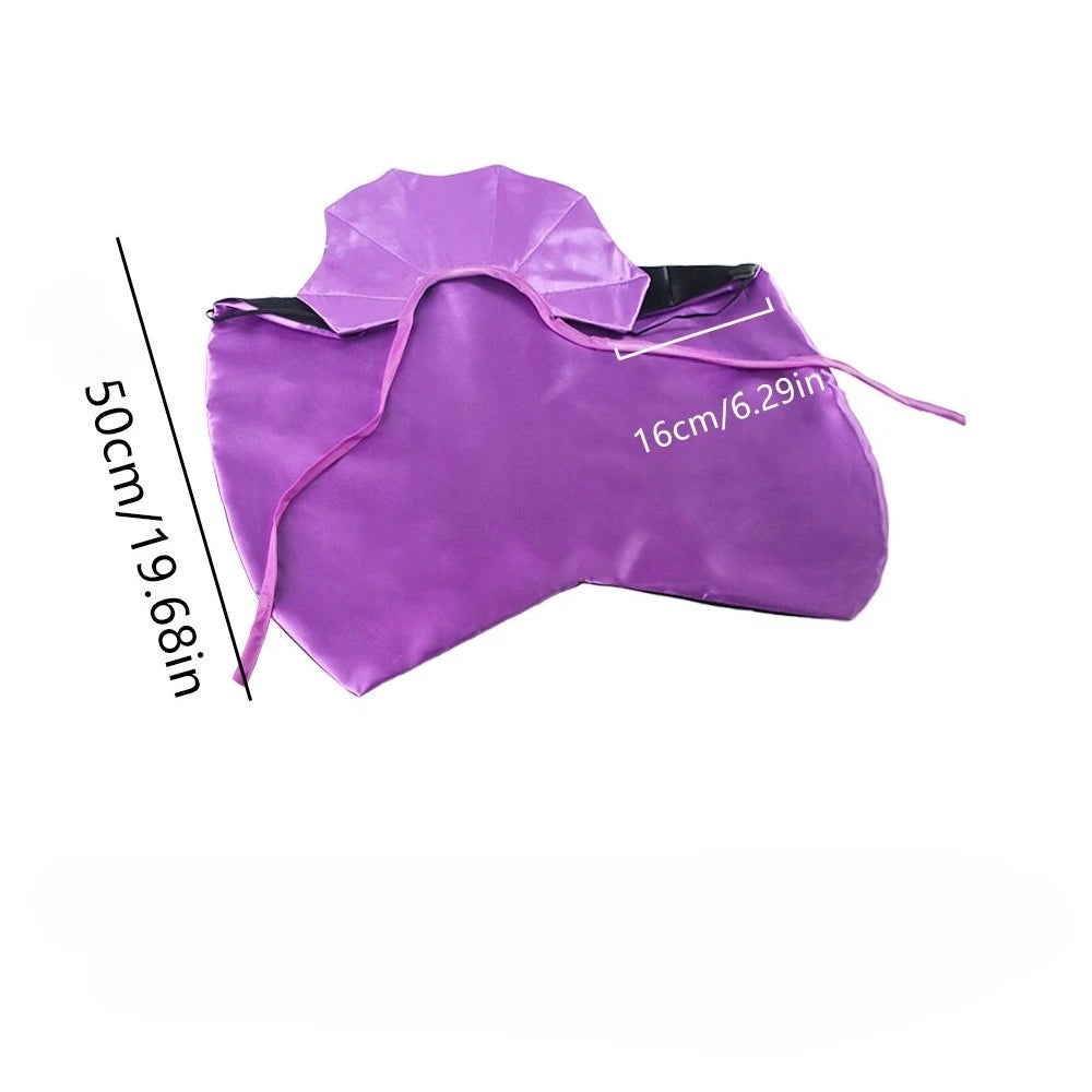 Small dog Halloween cosplay costume
