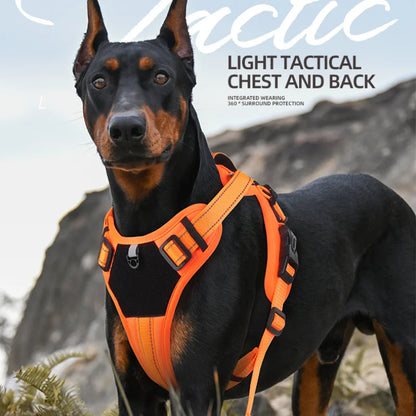 Orange reflective dog harness adjustable
