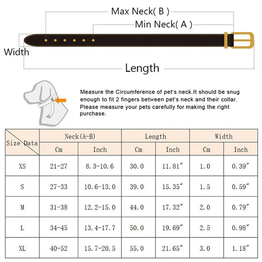 Cat wearing blue collar with decorative bandana