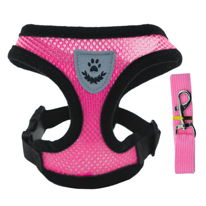 Pet Harness & Leash Set – Adjustable for Cats & Dogs
