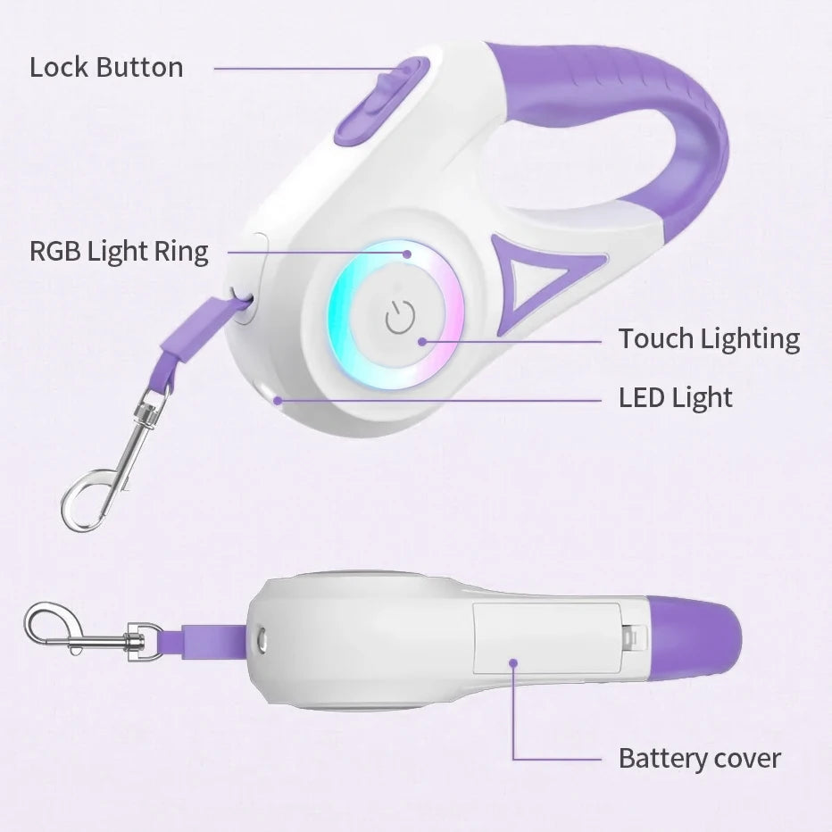 Light-up dog leash for night walks
