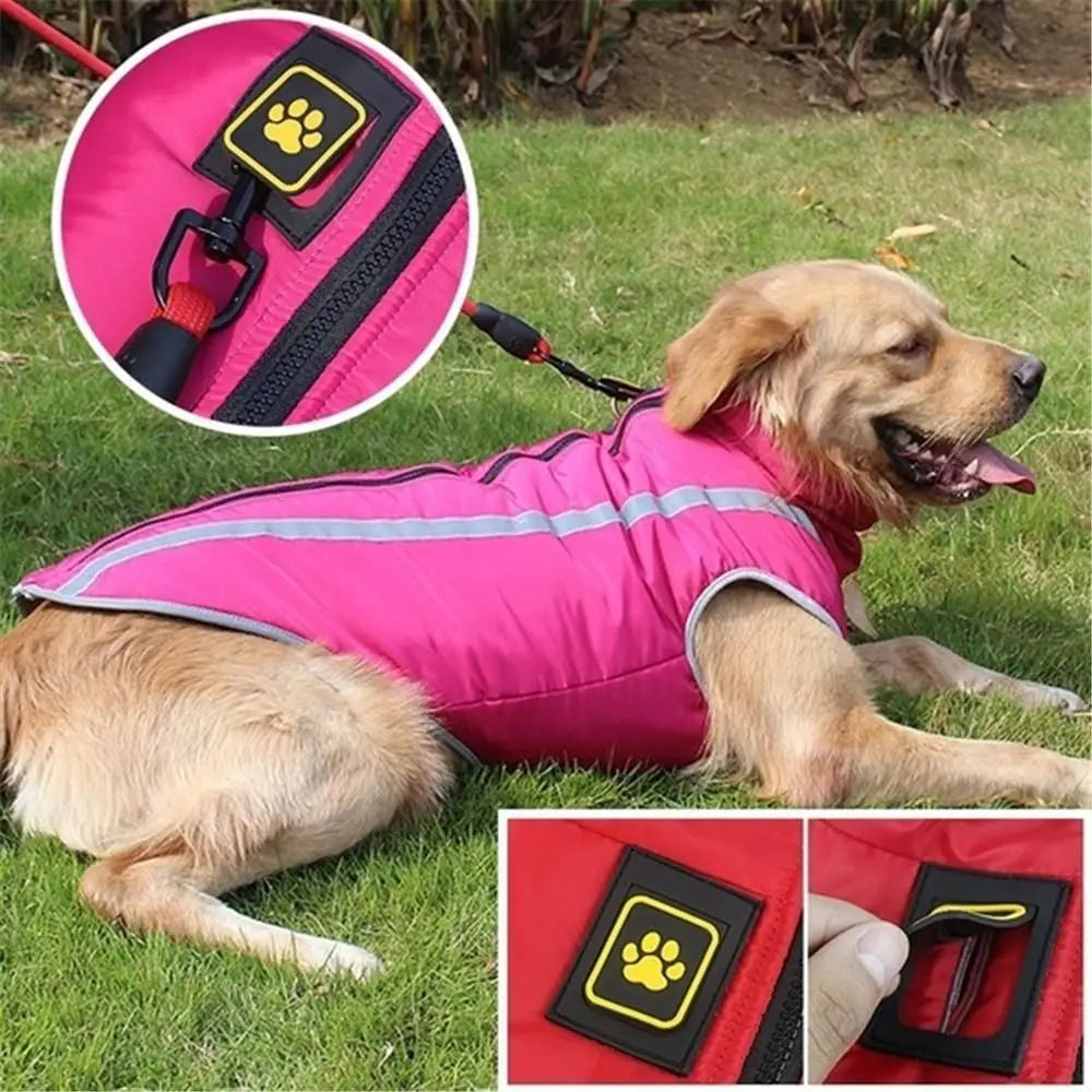 Large breed dog in waterproof winter jumpsuit – side view