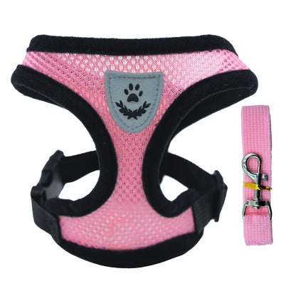 Pet Harness & Leash Set – Adjustable for Cats & Dogs