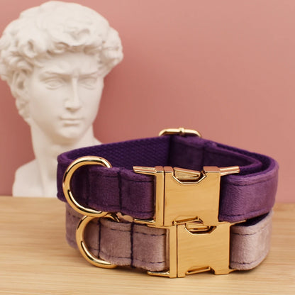 Luxury velvet pet collar adjustable
