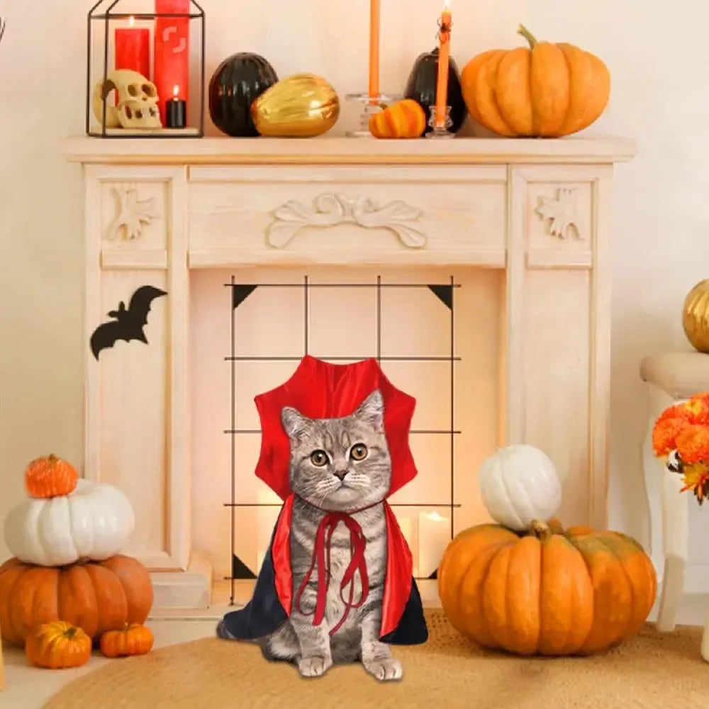 Spooky pet vampire cape outfit for dogs and cats