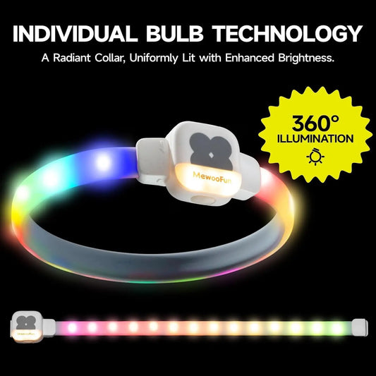 Rechargeable LED Dog Collar - Waterproof Light-Up Safety Necklace for Night Walks, 6 Flashing Modes, USB Glow Pet Collar