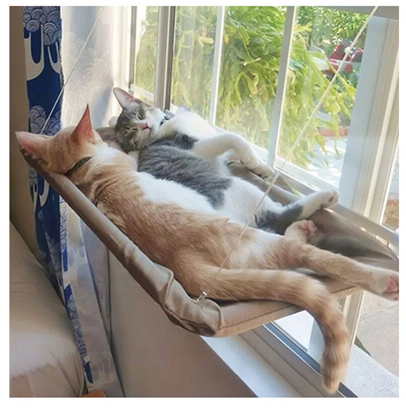 Hanging cat bed supporting up to 20kg on glass window