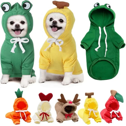 Puppy wearing frog cosplay hoodie – front view