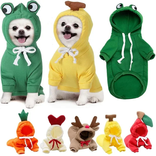 Puppy wearing frog cosplay hoodie – front view