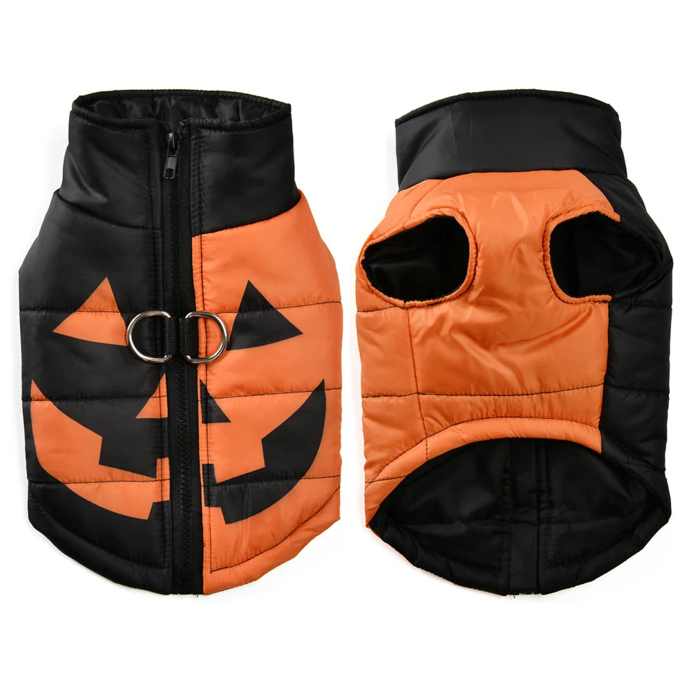 Windproof dog coat for Halloween parties
