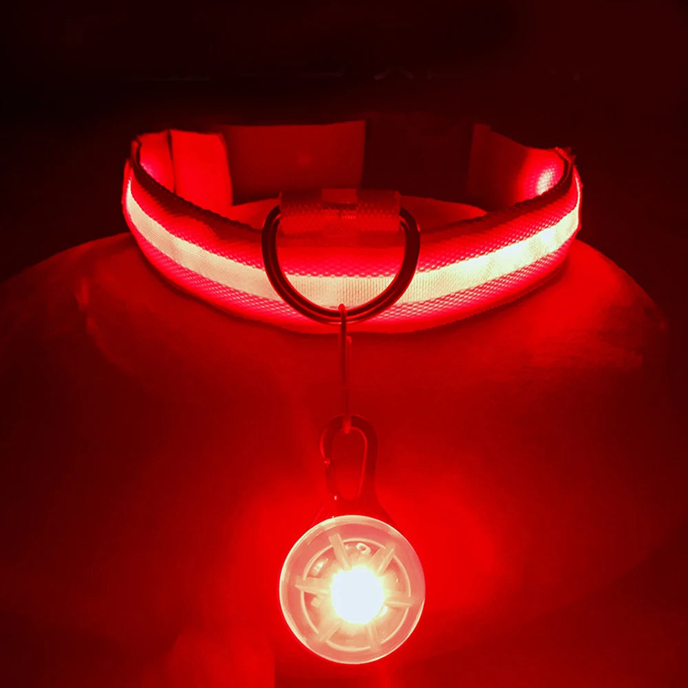 luminous pet collar for night visibility safety