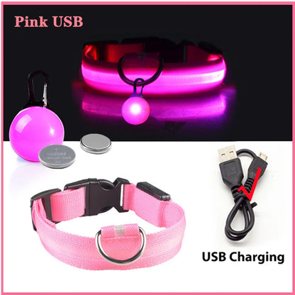 USB Rechargeable LED Dog Collar – Night Safety