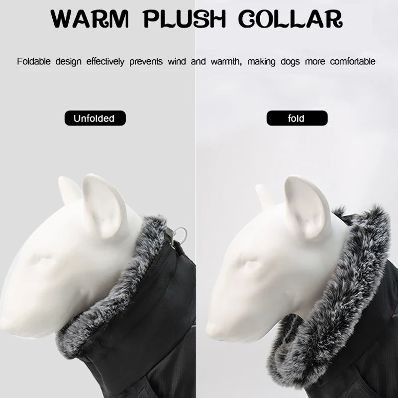 Big dog outdoor wearing waterproof winter pet jacket