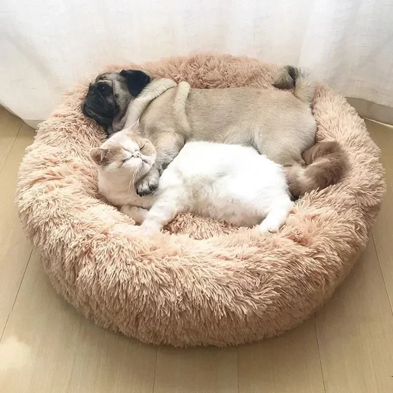 Multi-color donut beds for pets
