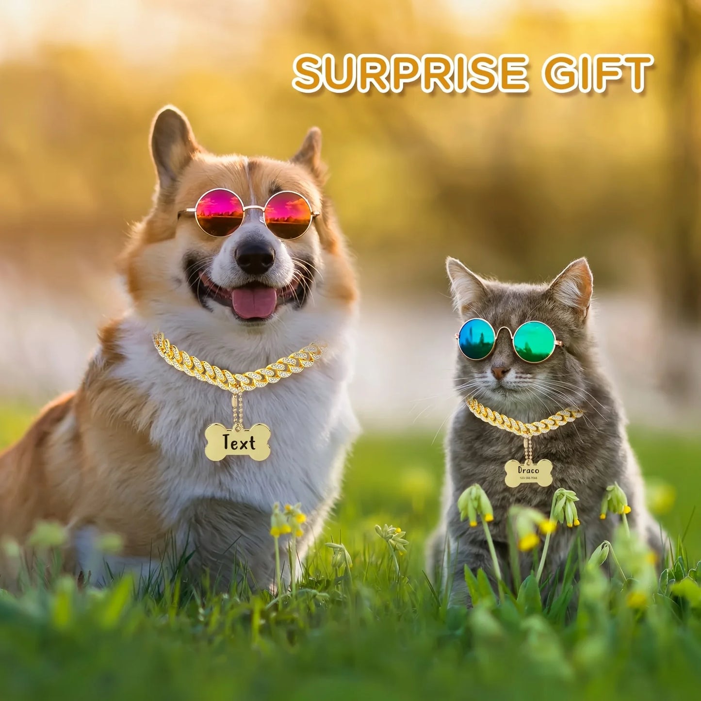 Dog wearing gold Cuban link chain personalized collar