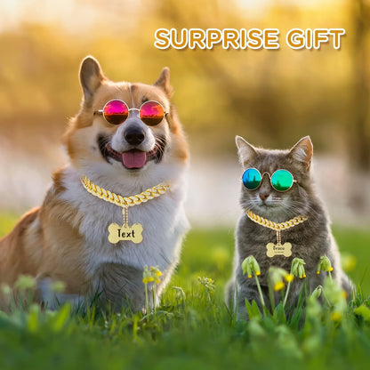 Dog wearing gold Cuban link chain personalized collar