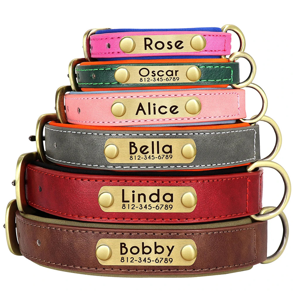 Orange personalized dog collar with engraved tag – durable and stylish