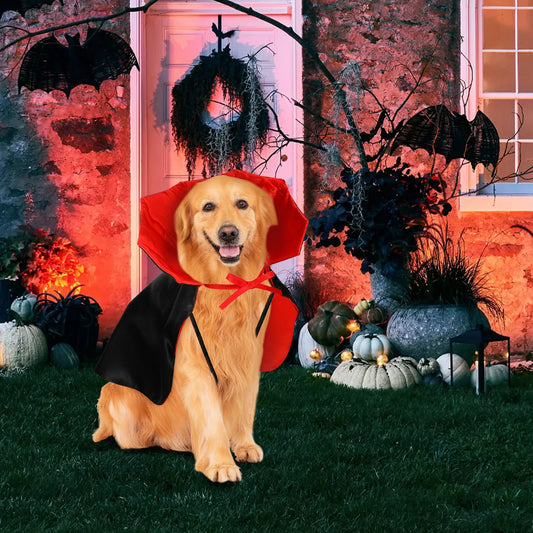 Dog dressed in black and red Halloween cloak