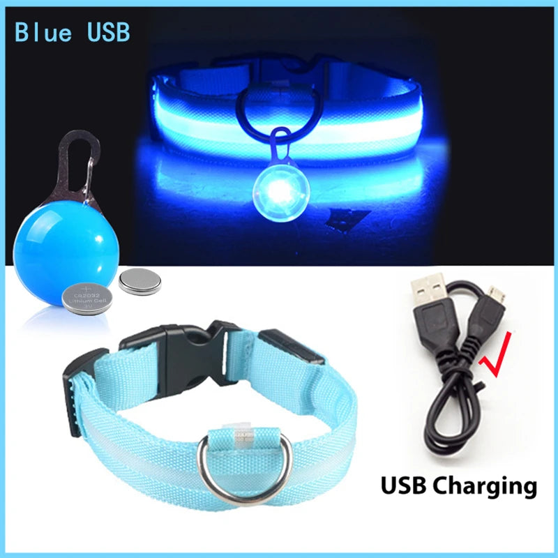 USB Rechargeable LED Dog Collar – Night Safety