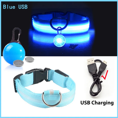 USB Rechargeable LED Dog Collar – Night Safety
