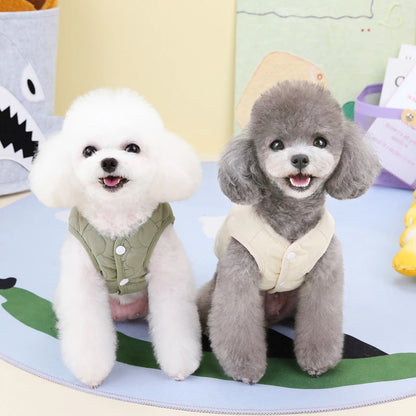 Small dog wearing warm cotton vest – indoor photo