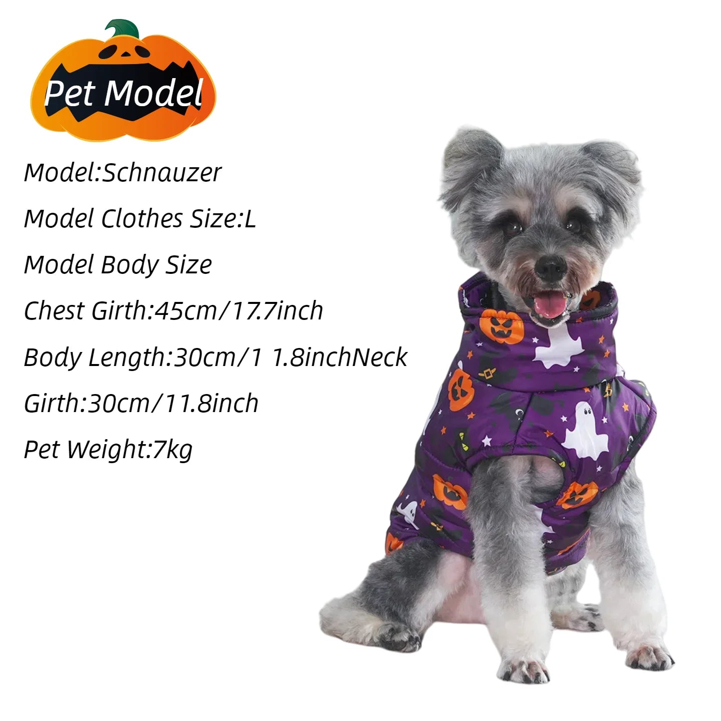 Warm dog jacket with spooky pumpkin design
