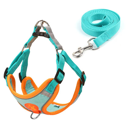 Adjustable Dog Harness & Leash Set – Comfortable Vest for Small & Medium Dogs