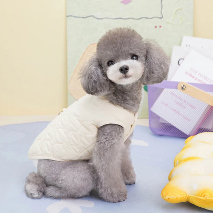 Pair of dogs in beige and grey vests – lifestyle photo