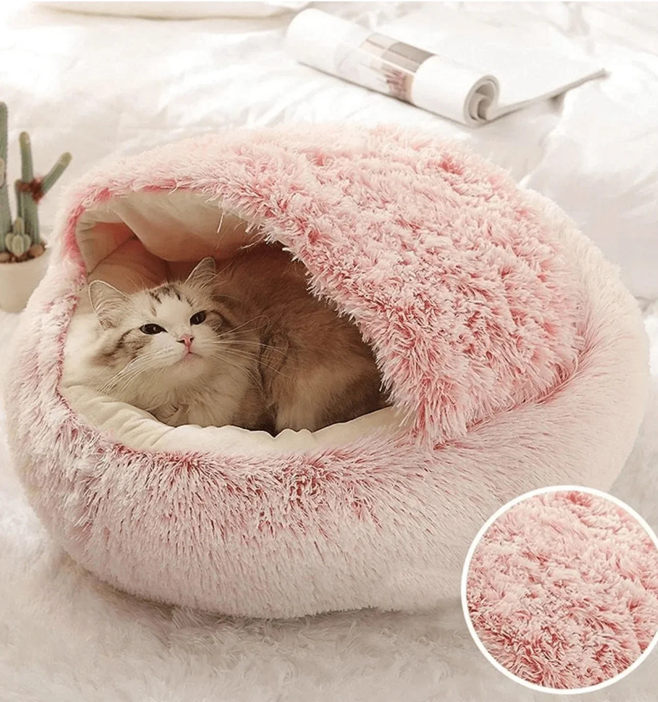 Kitten sleeping inside plush hooded bed
