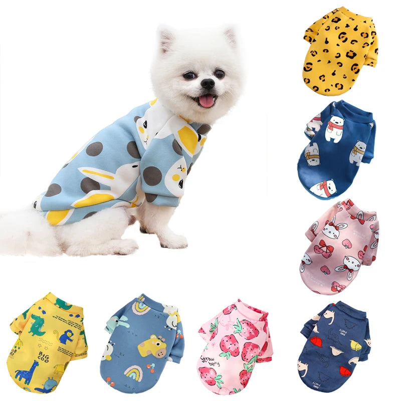 Small white dog wearing cartoon print winter sweater