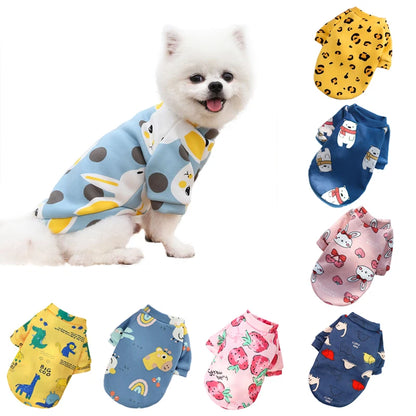 Small white dog wearing cartoon print winter sweater