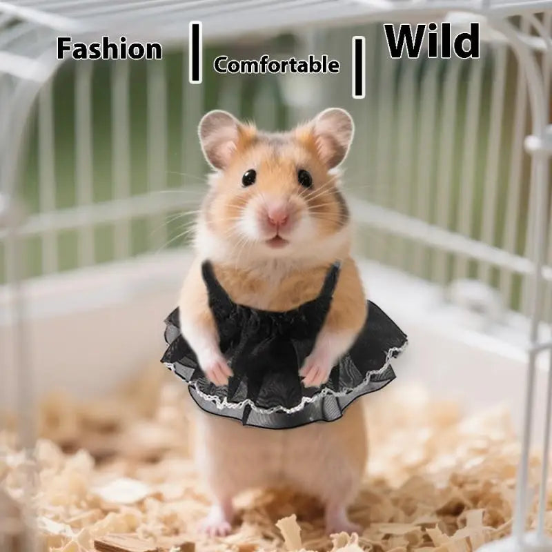 hamster clothing protective warm fashion style