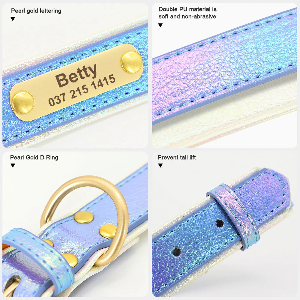 Blue soft padded dog collar for small and medium pets