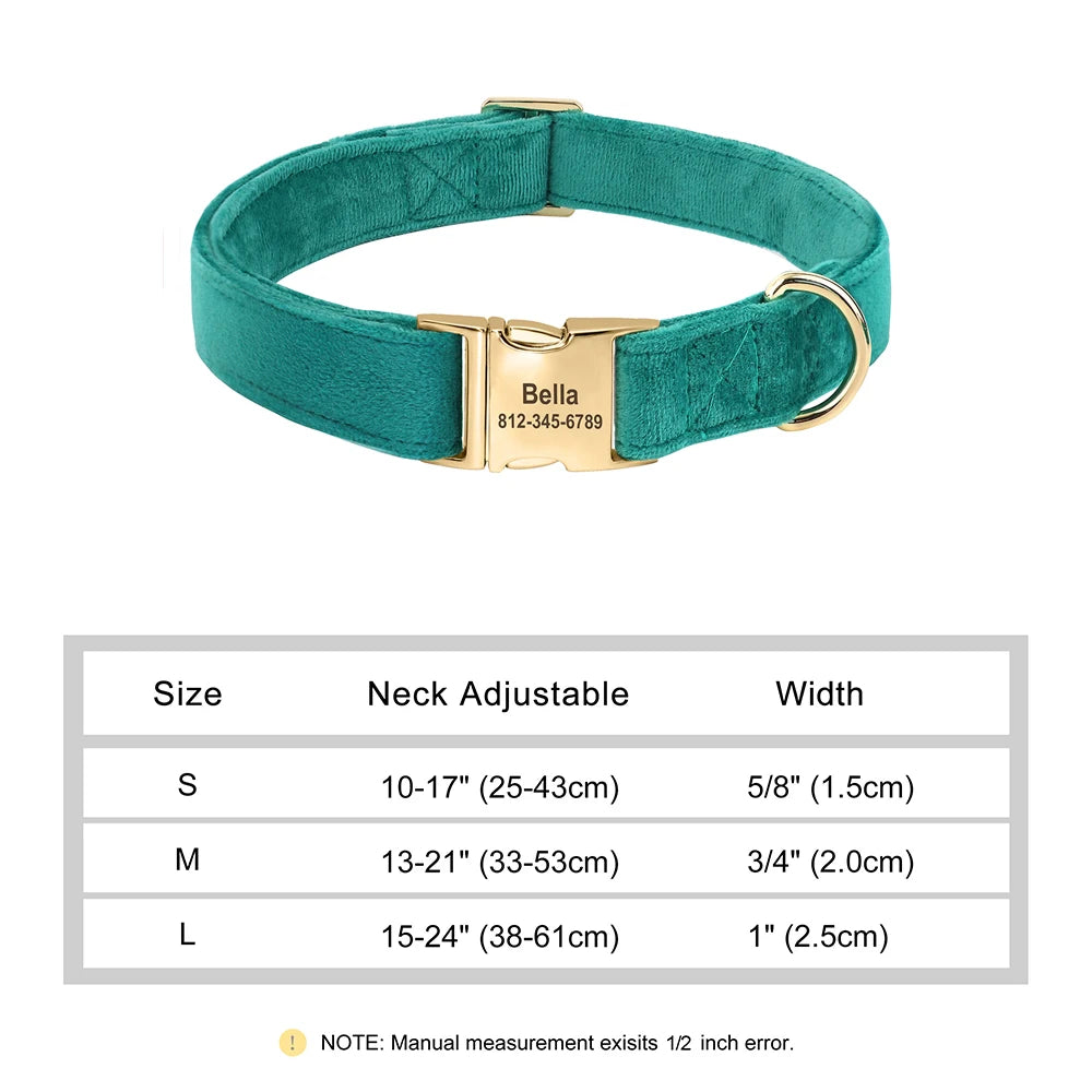 Close-up of gold buckle with personalized engraving on velvet collar