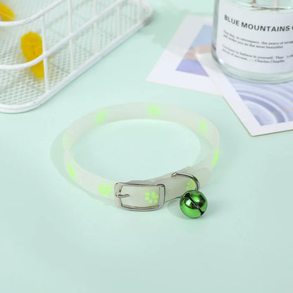 Pet wearing luminous collar for night visibility