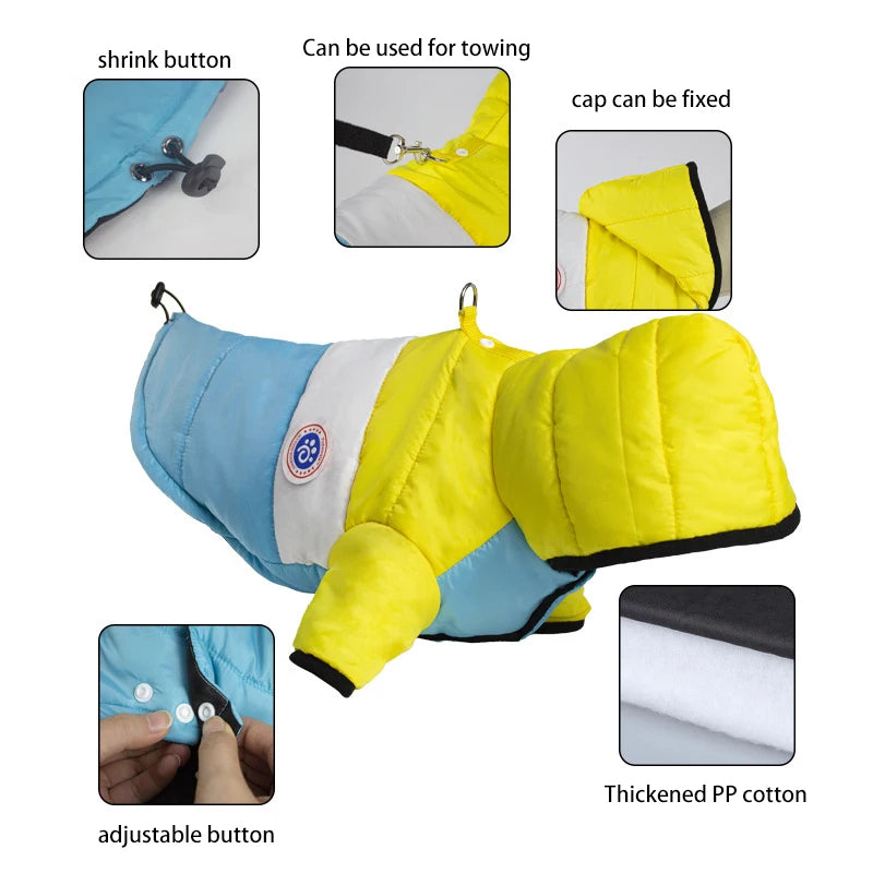 Cute Chihuahua in fleece dog onesie for outdoor walks