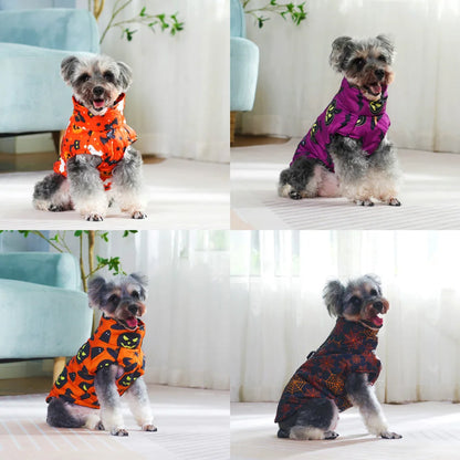 Cat in Halloween cosplay dog coat
