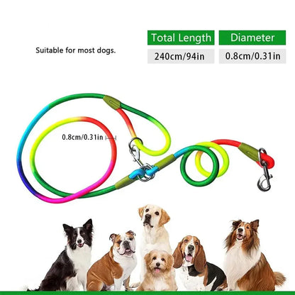 Reflective nylon leash for night walks
