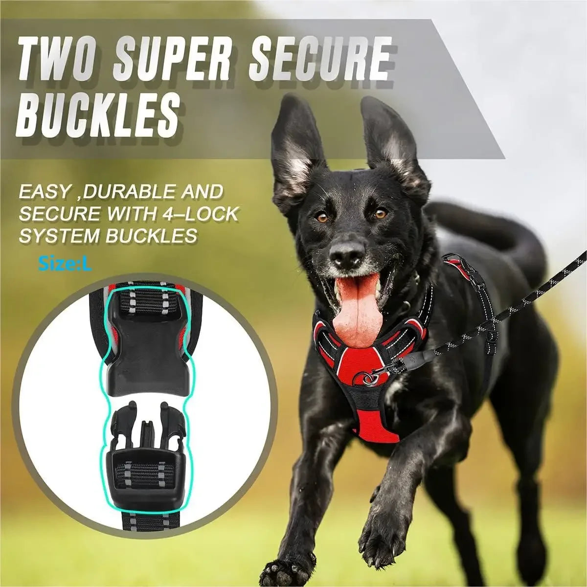 No Pull Dog Harness – Front Clip & Reflective
