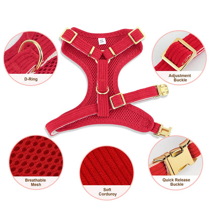 Blue dog harness and collar set adjustable for puppies