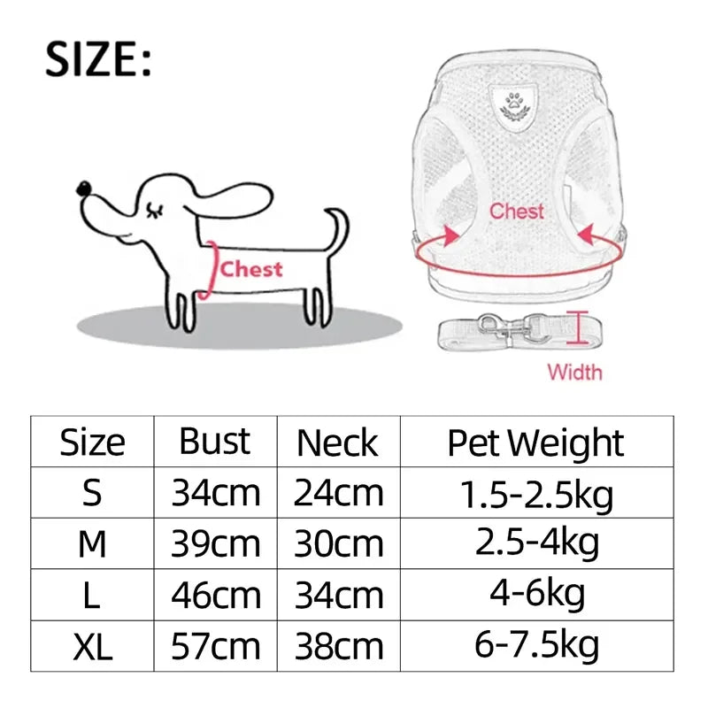 Pet Harness & Leash Set – Adjustable for Cats & Dogs