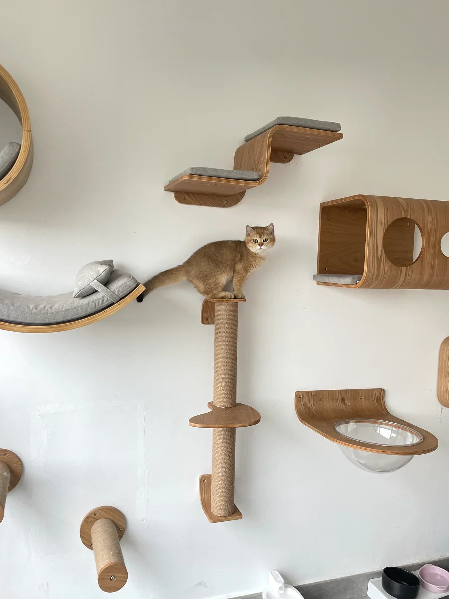 Cat jumping on wooden wall shelves – stable climbing platforms