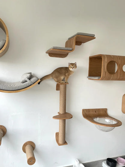 Cat jumping on wooden wall shelves – stable climbing platforms