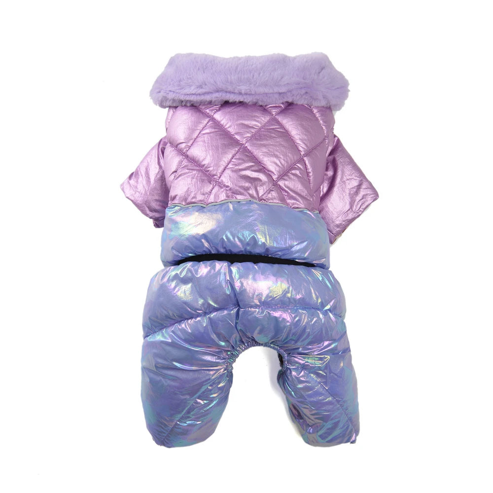 Small dog wearing shiny winter pet coat
