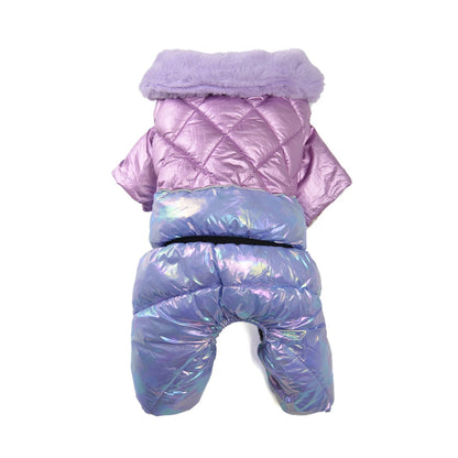 Small dog wearing shiny winter pet coat
